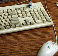 computer keyboard and mouse