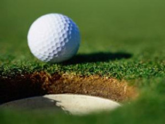 golf ball cup
