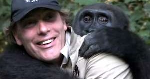 reunion of gorilla with its keeper