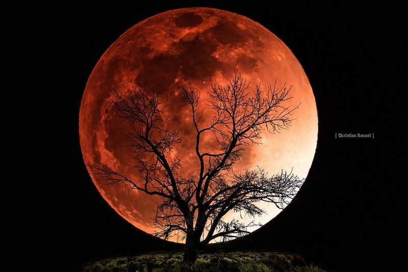 Blood Moon Eclipse To Be Visible Beginning Tomorrow Morning - The.