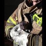 pet rat saved by fireman-CCfiredept-permission