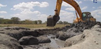 Elephant Stuck in Mud Gets Help From Construction Company (WATCH)
