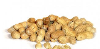 Mounting Research Shows Deadly Peanut Allergies Are Preventable — And Even Reversible