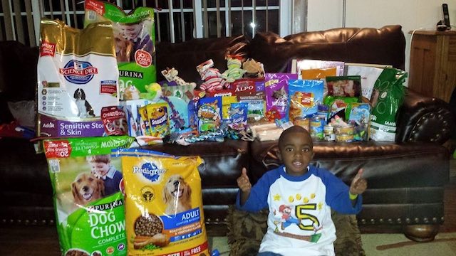 Lil man wanted to help dogs and cats. - Imgur MarcusShaw