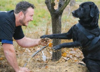 Truffle Hunting Offers New Life for Shelter Dogs in Australia