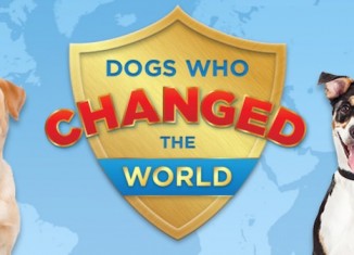 These Dogs are Changing The World Through Their Pawsome Heroism
