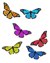 butterflies, illustration
