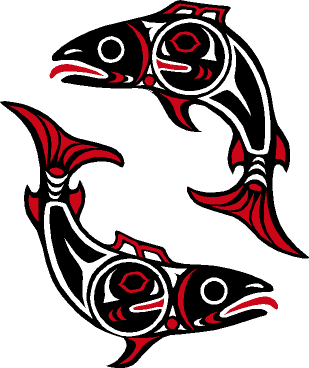 salmon illustration