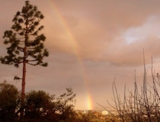 rainbow over LA