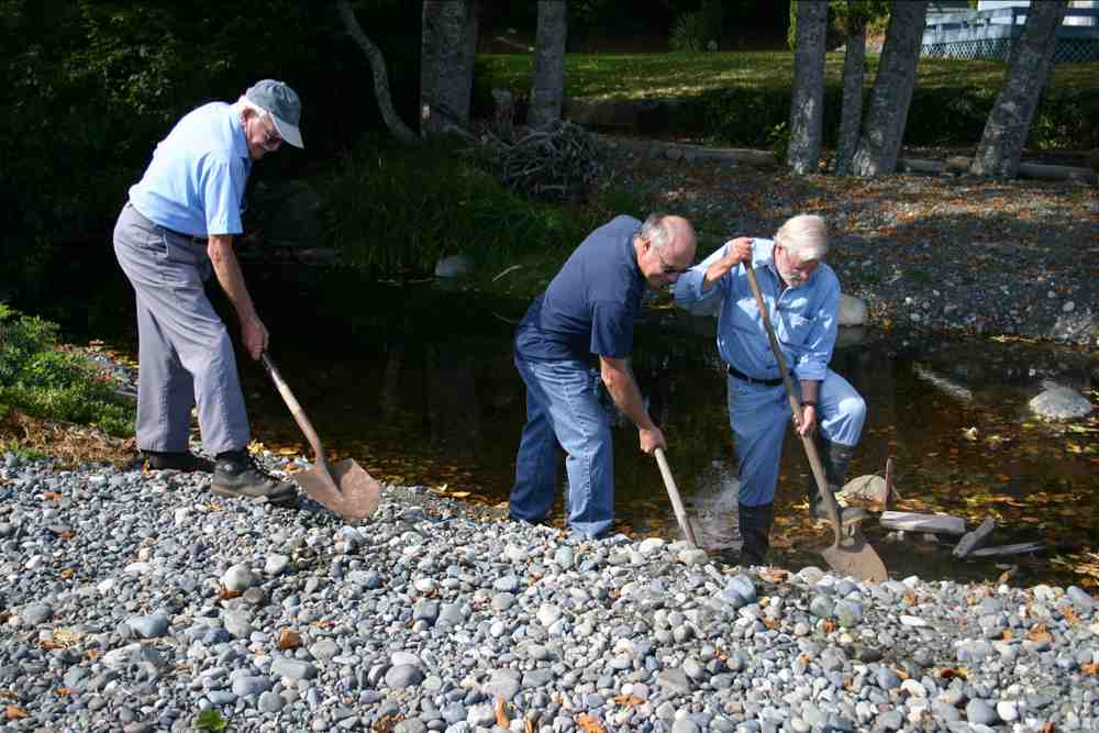 Nile Creek Enhancement Society restoring streams in British Columbia, Canada
