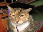 cat-in-hat.jpg