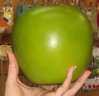 green-apple.jpg