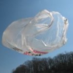 plastic-bag-litter