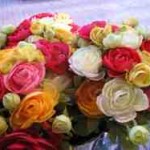 rose arrangement