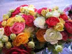 rose-arrangement.jpg