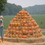 pumpkin_pile.jpg