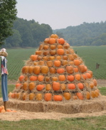 pumpkin_pile.jpg