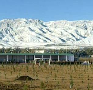 tree saplings planted Turkmenistan