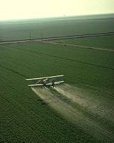 pesticides.jpg
