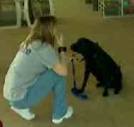inmate-training-dog.jpg