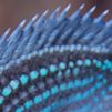 blue-fish-scales.jpg