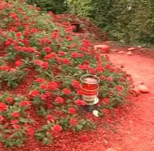 red-garden-europe.jpg