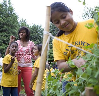 Harvest Time In Michelle Obama S Garden Video Good News Network
