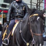 horse-police-nyc.jpg
