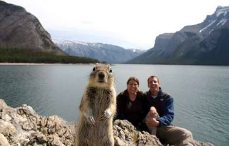 squirrel-in-family-photo.jpg