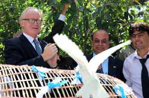 doves-for-afghans-unama.jpg