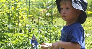 garden-w-toddler-tomsofmaine.jpg
