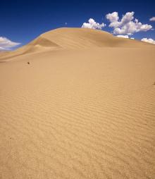 sand-dune-crescent-nevada.jpg
