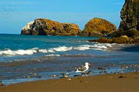 channel-islands-ca.jpg