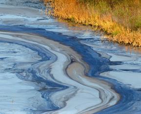 oil spill on water's surface