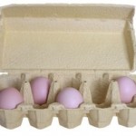 egg-carton-mzacha-morguefile