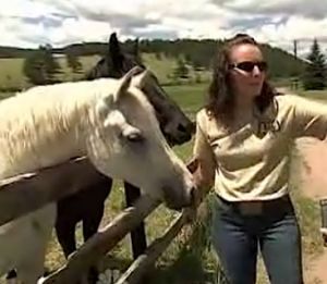 horse-haybank-founder-nbcvid