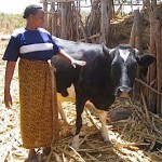 Kenya farmer, via USAID, by Bev-Abma
