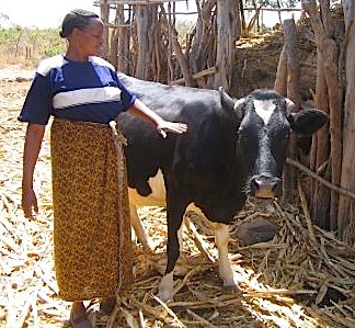 Kenya farmer, via USAID, by Bev-Abma