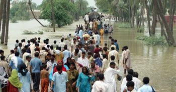 Pakistan floods - WFP photo