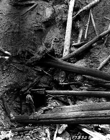 idaho mineshaft where Pulaski herded dozens who would survive fire