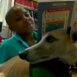 ABC news video shows reading to dogs