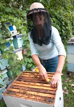 Bee researcher Marla Spivak, courtesy of MacArthur Foundation