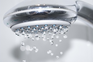 photo credit: Alex France via morguefile