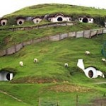 Hobbit homes tour in New Zealand