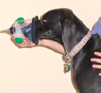 oxygen mask by Smith Medicine