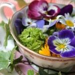 photo of edible pansies, by chamomile, via morguefile.com