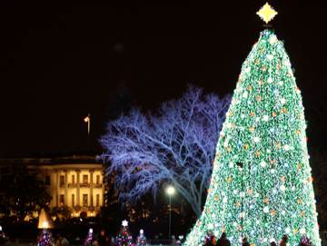 National Christmas tree lighting, 2010 NPS photo