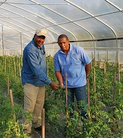 Snells farming in Alabama hoop house- USDA