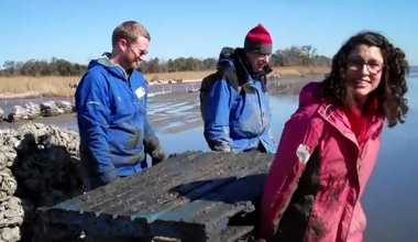 oyster restoration by Nature Conservancy