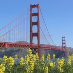 Golden Gater bridge in spring